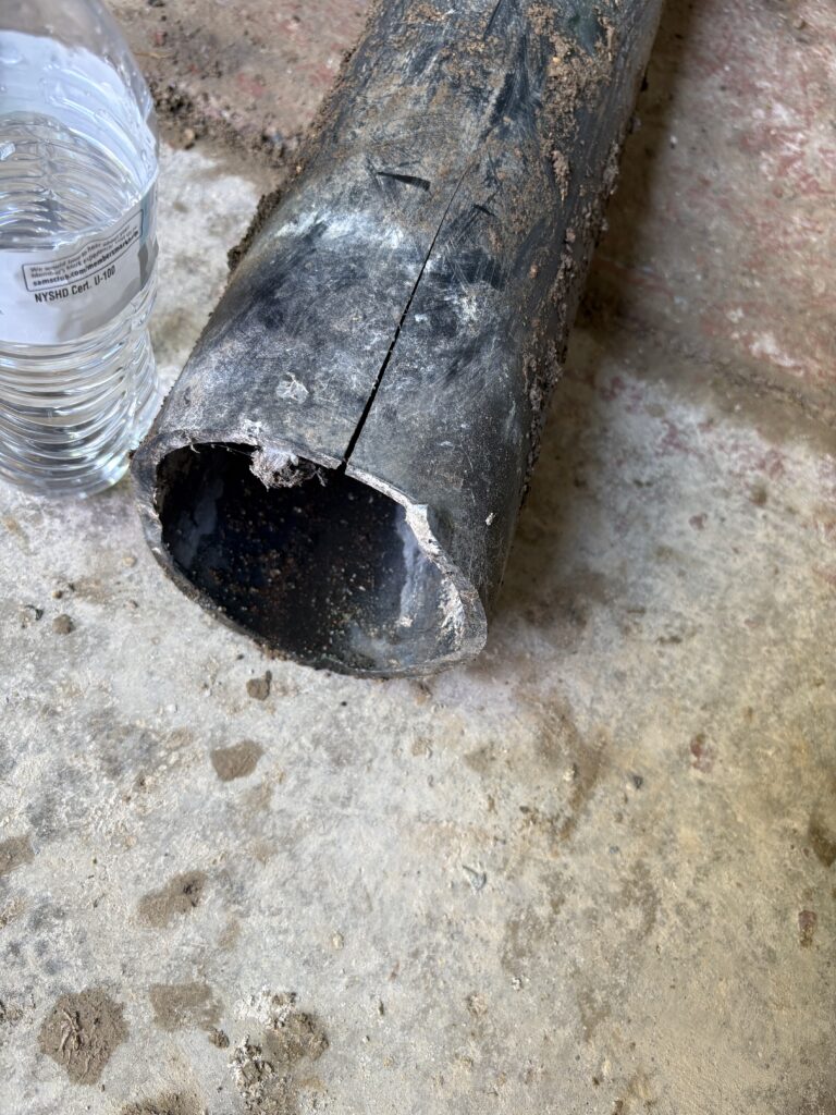 How Tree Roots Quietly Wreck Your Sewer Line Every Summer
